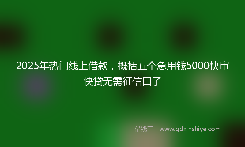 2025年热门线上借款，概括五个急用钱5000快审快贷无需征信口子