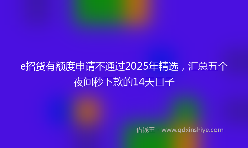 e招货有额度申请不通过2025年精选，汇总五个夜间秒下款的14天口子