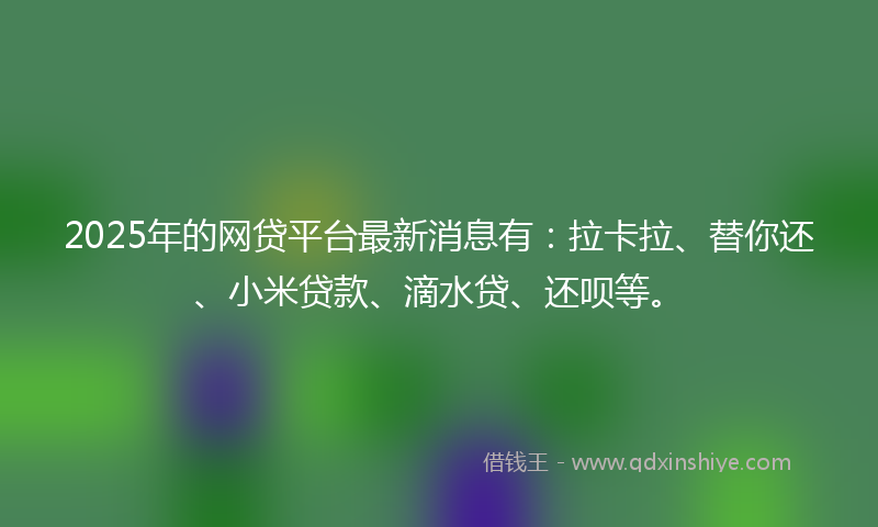 2025年的网贷平台最新消息有：拉卡拉、替你还、小米贷款、滴水贷、还呗等。