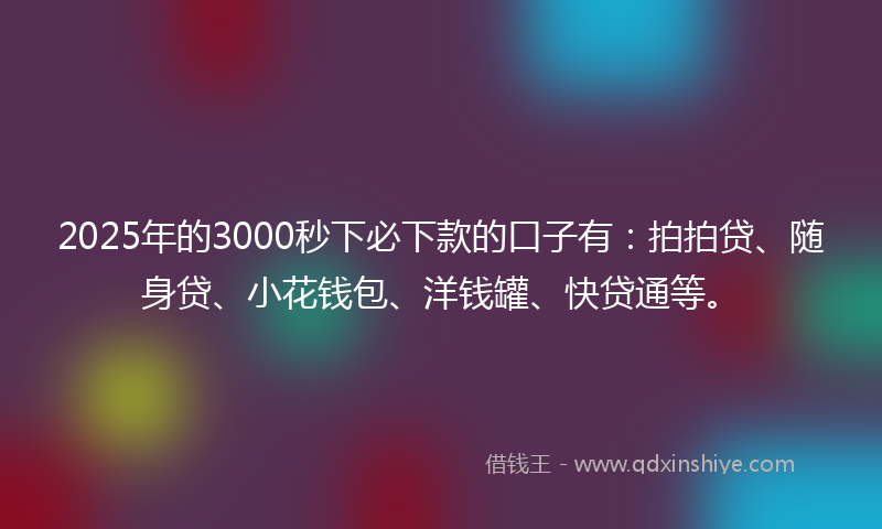 2025年的3000秒下必下款的口子有：拍拍贷、随身贷、小花钱包、洋钱罐、快贷通等。