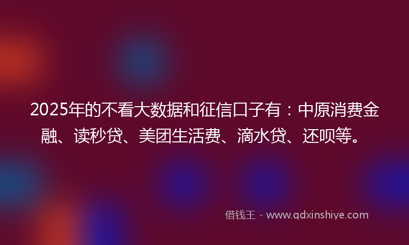 2025年的不看大数据和征信口子有：中原消费金融、读秒贷、美团生活费、滴水贷、还呗等。