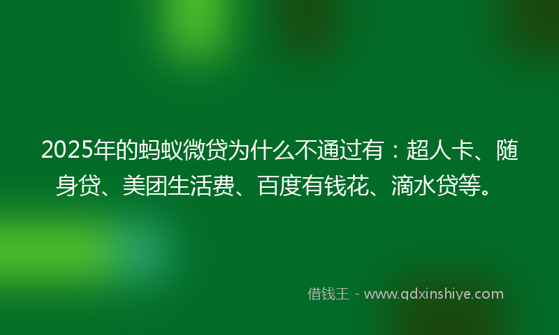 2025年的蚂蚁微贷为什么不通过有：超人卡、随身贷、美团生活费、百度有钱花、滴水贷等。