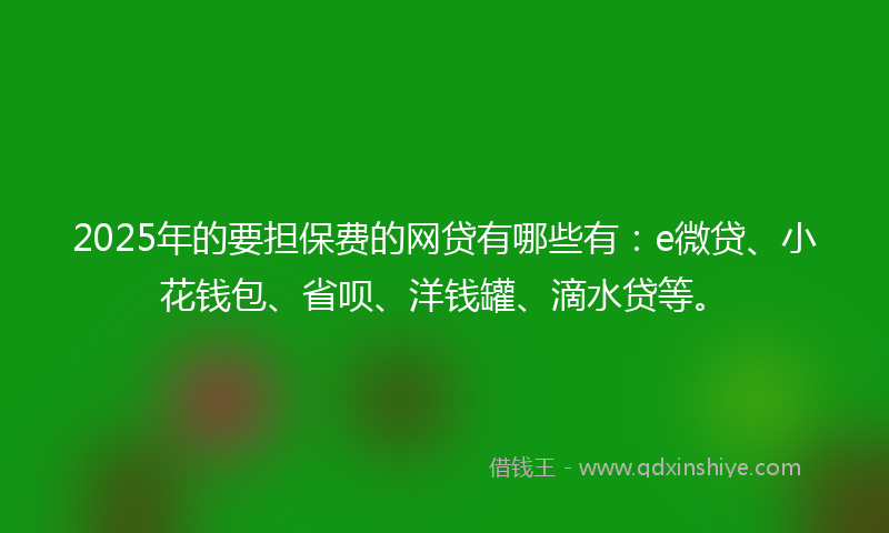 2025年的要担保费的网贷有哪些有：e微贷、小花钱包、省呗、洋钱罐、滴水贷等。