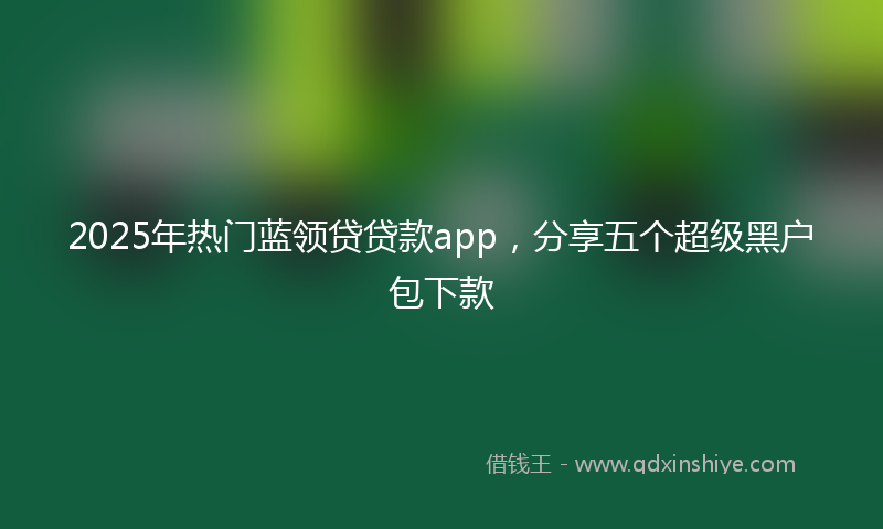 2025年热门蓝领贷贷款app，分享五个超级黑户包下款