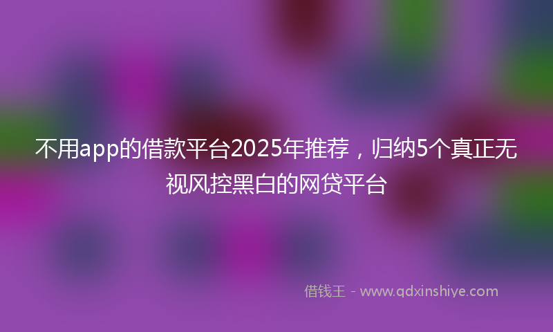 不用app的借款平台2025年推荐，归纳5个真正无视风控黑白的网贷平台