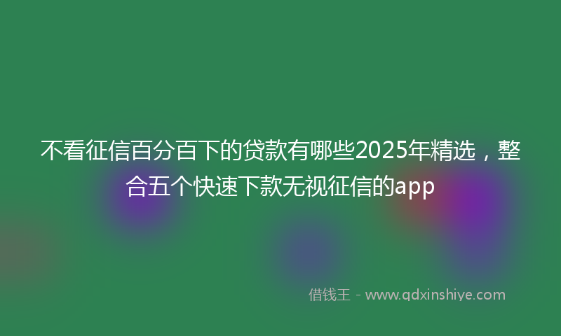 不看征信百分百下的贷款有哪些2025年精选，整合五个快速下款无视征信的app