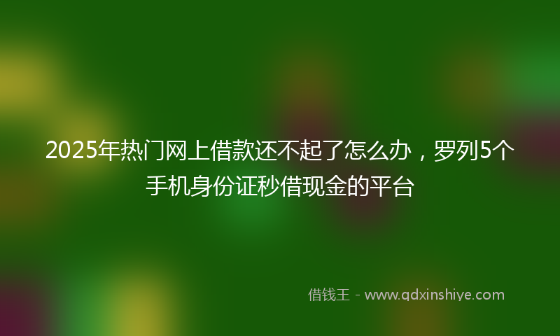 2025年热门网上借款还不起了怎么办，罗列5个手机身份证秒借现金的平台