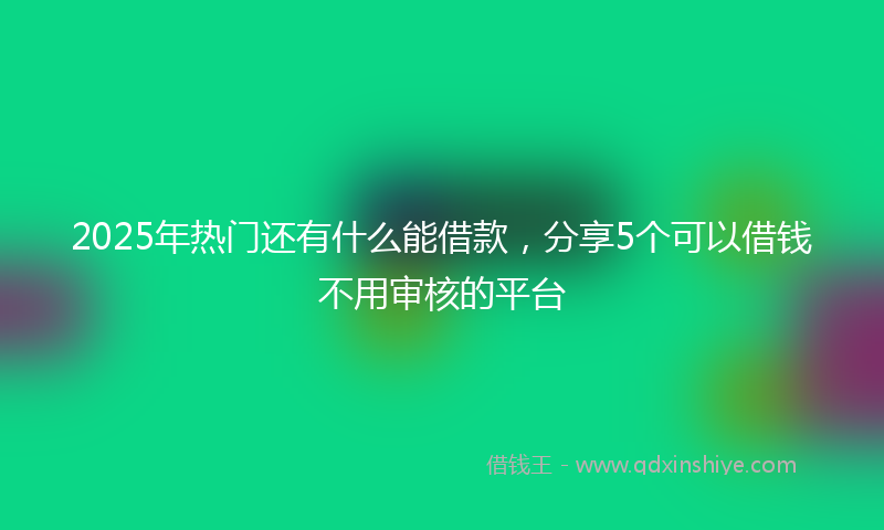 2025年热门还有什么能借款，分享5个可以借钱不用审核的平台