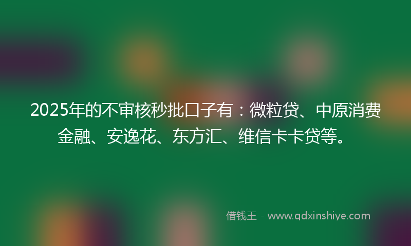 2025年的不审核秒批口子有：微粒贷、中原消费金融、安逸花、东方汇、维信卡卡贷等。