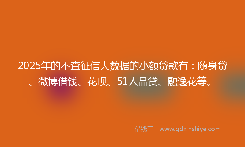 2025年的不查征信大数据的小额贷款有：随身贷、微博借钱、花呗、51人品贷、融逸花等。