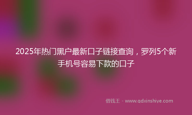 2025年热门黑户最新口子链接查询，罗列5个新手机号容易下款的口子