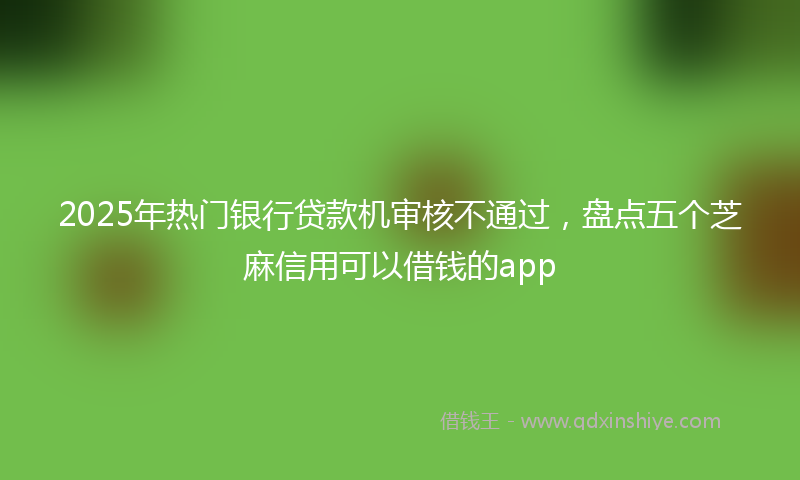 2025年热门银行贷款机审核不通过，盘点五个芝麻信用可以借钱的app