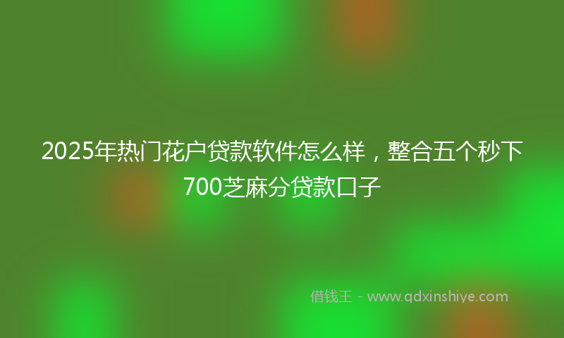 2025年热门花户贷款软件怎么样，整合五个秒下700芝麻分贷款口子