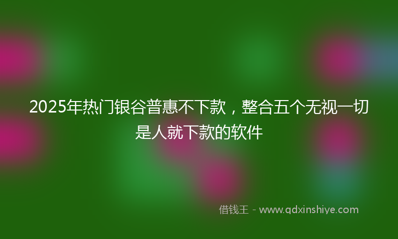 2025年热门银谷普惠不下款，整合五个无视一切是人就下款的软件