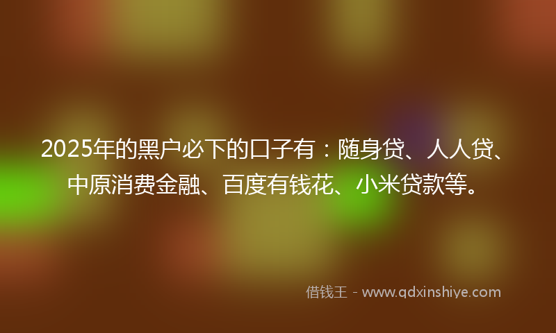 2025年的黑户必下的口子有:随身贷、人人贷、中原消费金融、百度有钱花、小米贷款等。