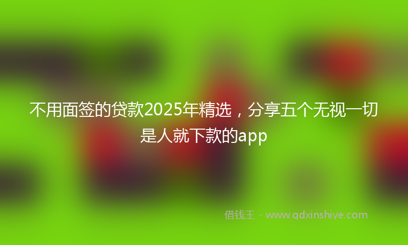 不用面签的贷款2025年精选，分享五个无视一切是人就下款的app