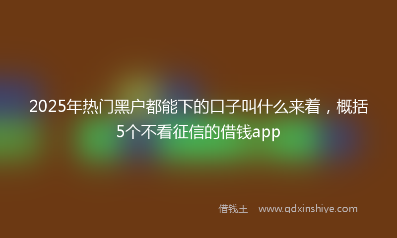 2025年热门黑户都能下的口子叫什么来着，概括5个不看征信的借钱app