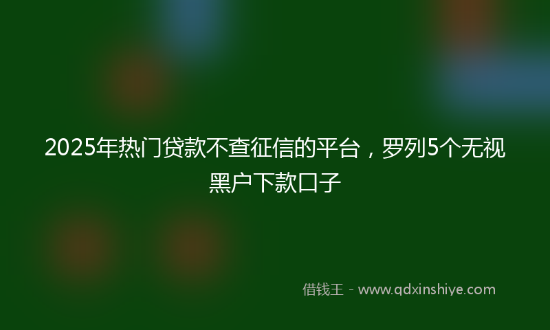 2025年热门贷款不查征信的平台，罗列5个无视黑户下款口子