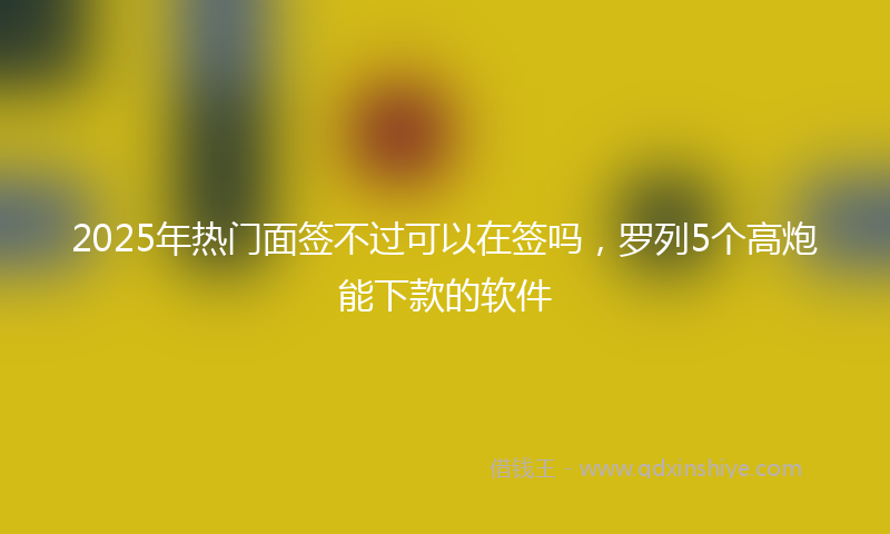 2025年热门面签不过可以在签吗,罗列5个高炮能下款的软件