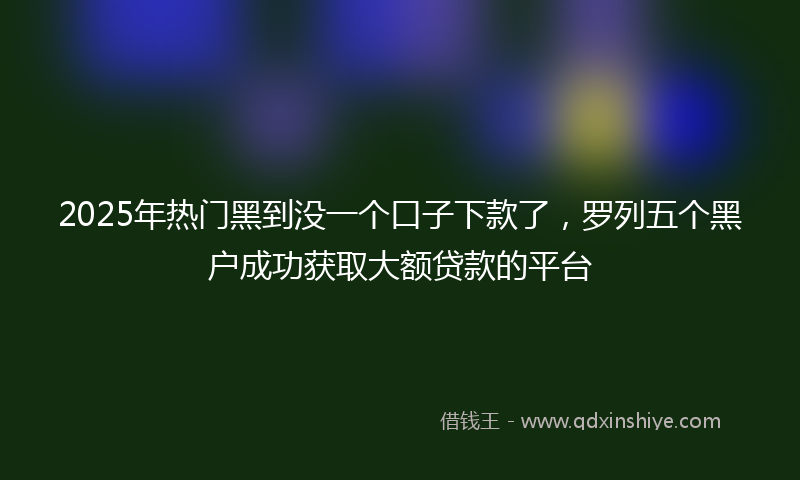 2025年热门黑到没一个口子下款了，罗列五个黑户成功获取大额贷款的平台
