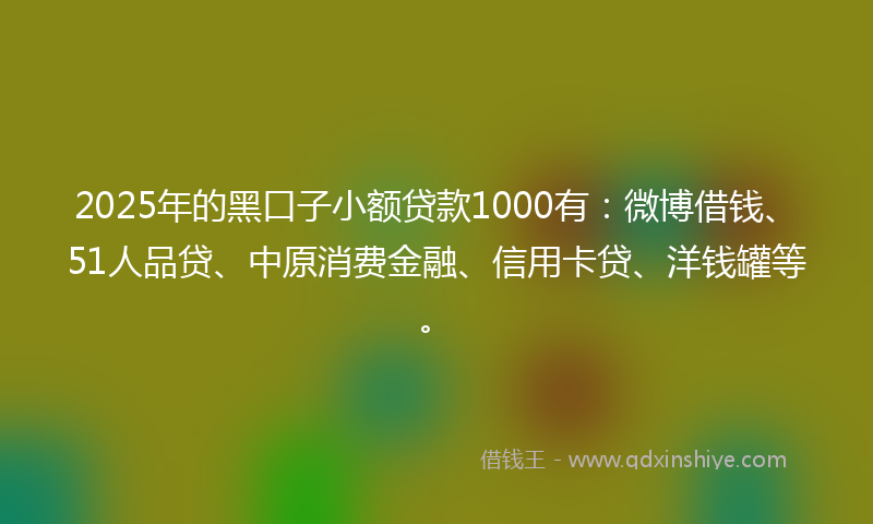 2025年的黑口子小额贷款1000有：微博借钱、51人品贷、中原消费金融、信用卡贷、洋钱罐等。