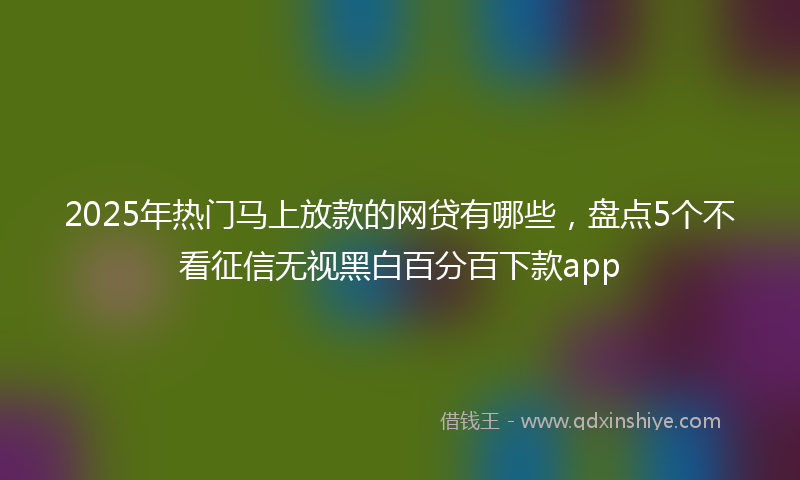 2025年热门马上放款的网贷有哪些,盘点5个不看征信无视黑白百分百下款app