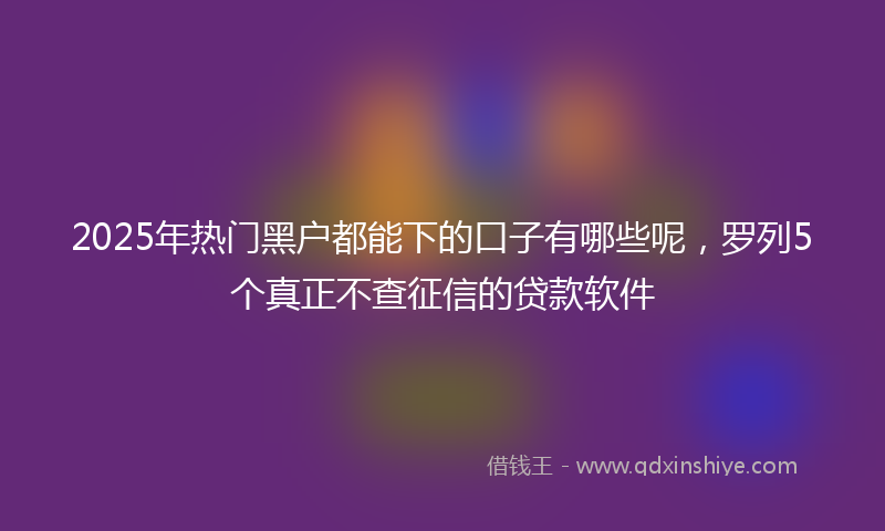 2025年热门黑户都能下的口子有哪些呢,罗列5个真正不查征信的贷款软件