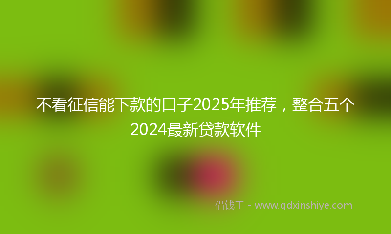 不看征信能下款的口子2025年推荐，整合五个2024最新贷款软件