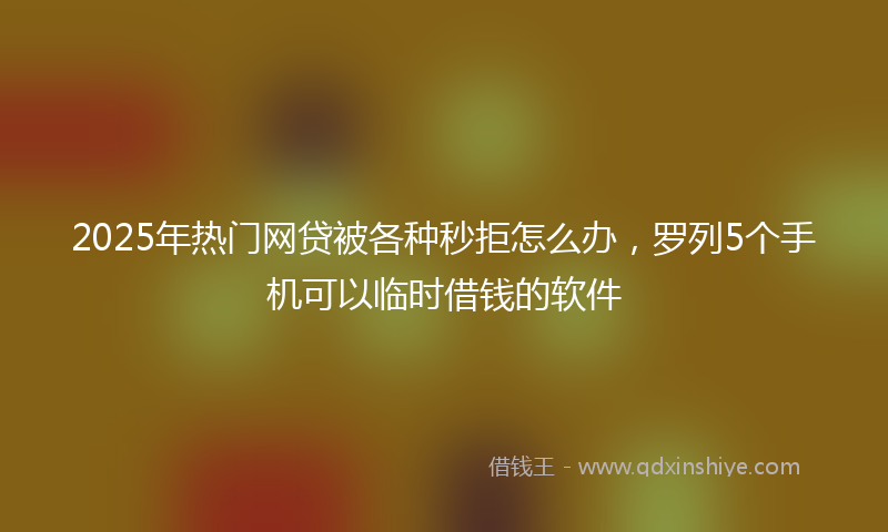 2025年热门网贷被各种秒拒怎么办，罗列5个手机可以临时借钱的软件