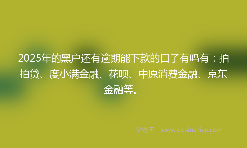 2025年的黑户还有逾期能下款的口子有吗有：拍拍贷、度小满金融、花呗、中原消费金融、京东金融等。