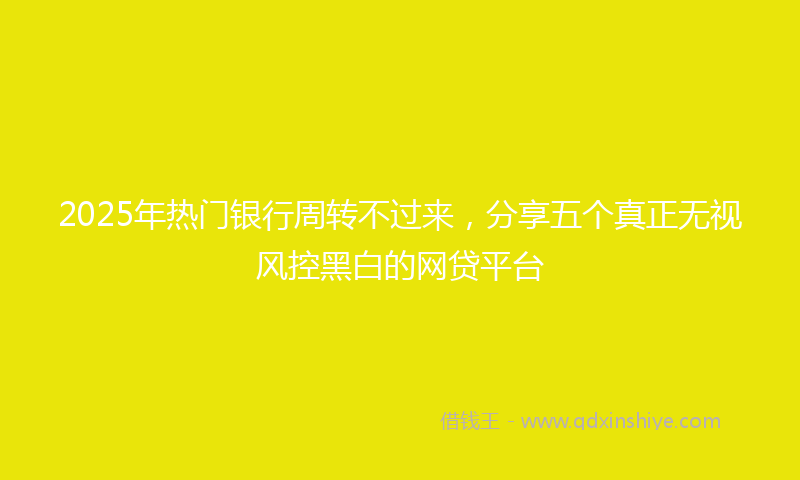 2025年热门银行周转不过来，分享五个真正无视风控黑白的网贷平台