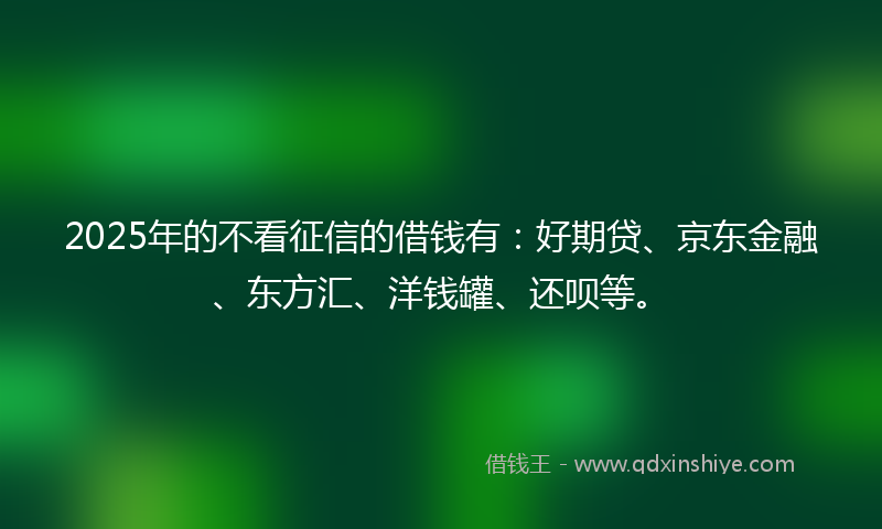 2025年的不看征信的借钱有：好期贷、京东金融、东方汇、洋钱罐、还呗等。