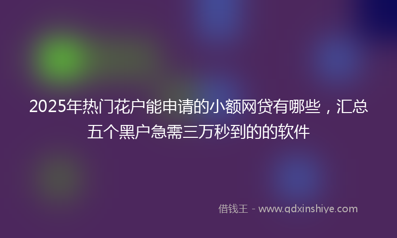 2025年热门花户能申请的小额网贷有哪些，汇总五个黑户急需三万秒到的的软件