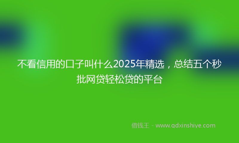 不看信用的口子叫什么2025年精选，总结五个秒批网贷轻松贷的平台