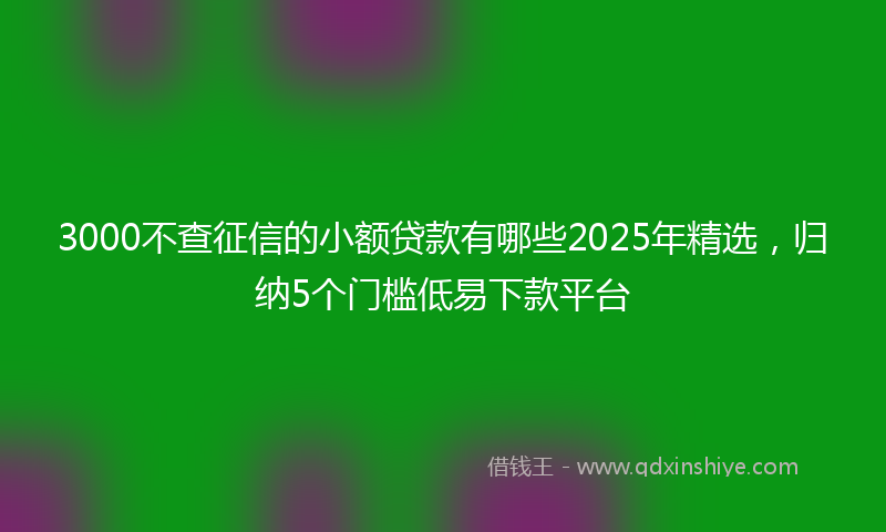 3000不查征信的小额贷款有哪些2025年精选，归纳5个门槛低易下款平台