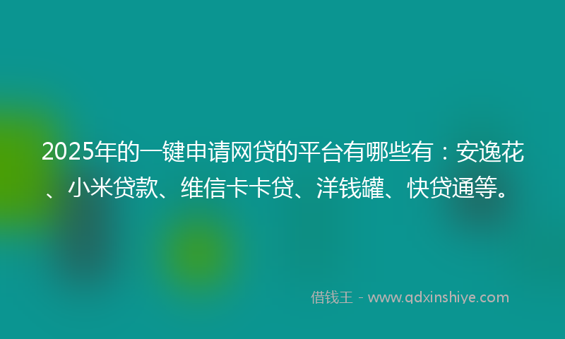2025年的一键申请网贷的平台有哪些有：安逸花、小米贷款、维信卡卡贷、洋钱罐、快贷通等。