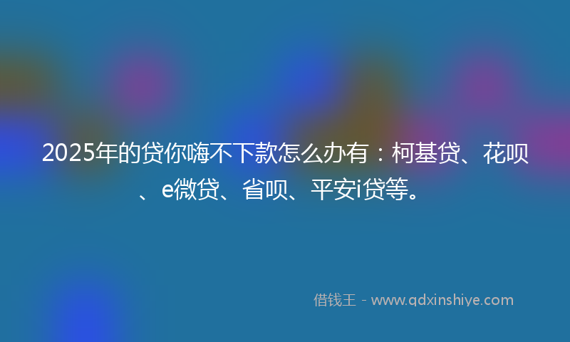 2025年的贷你嗨不下款怎么办有:柯基贷、花呗、e微贷、省呗、平安i贷等。
