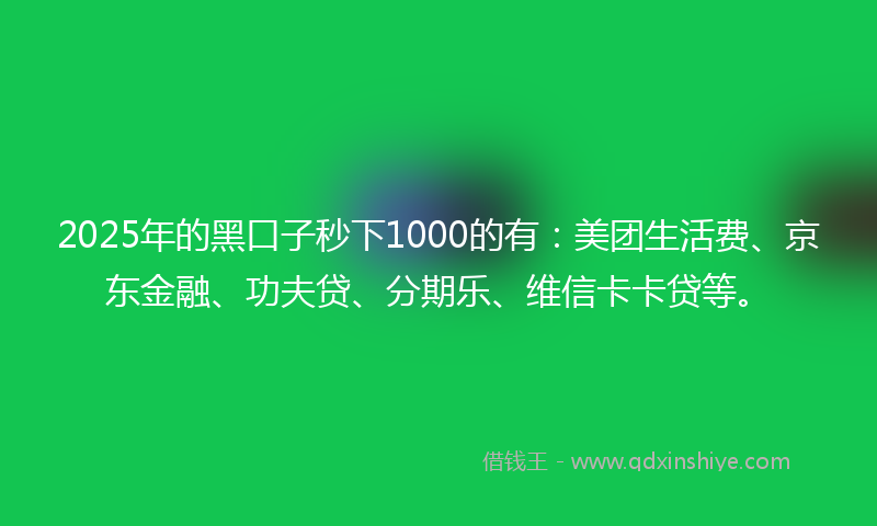 2025年的黑口子秒下1000的有：美团生活费、京东金融、功夫贷、分期乐、维信卡卡贷等。