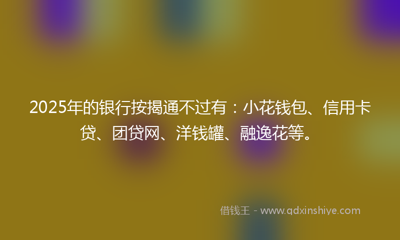 2025年的银行按揭通不过有：小花钱包、信用卡贷、团贷网、洋钱罐、融逸花等。