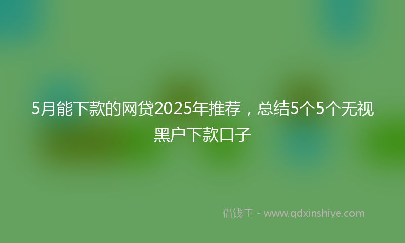 5月能下款的网贷2025年推荐,总结5个5个无视黑户下款口子