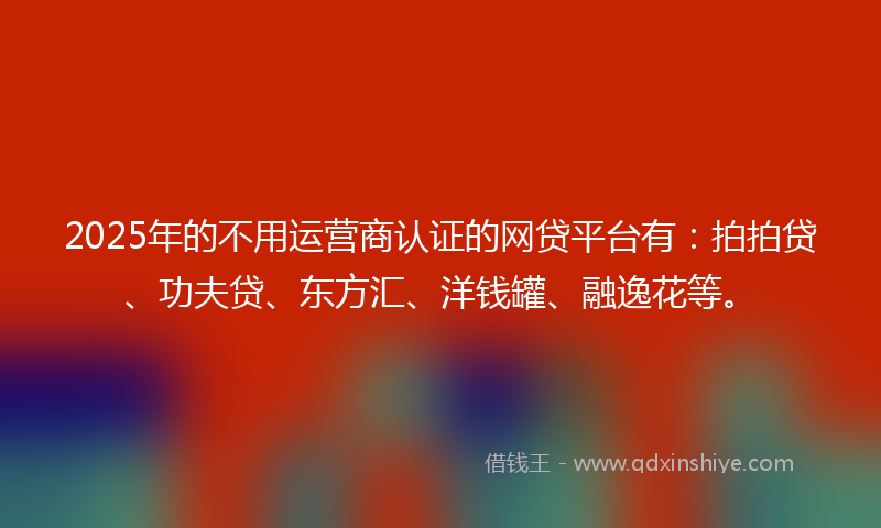 2025年的不用运营商认证的网贷平台有：拍拍贷、功夫贷、东方汇、洋钱罐、融逸花等。
