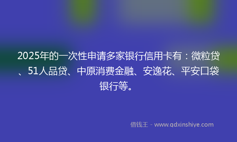 2025年的一次性申请多家银行信用卡有：微粒贷、51人品贷、中原消费金融、安逸花、平安口袋银行等。