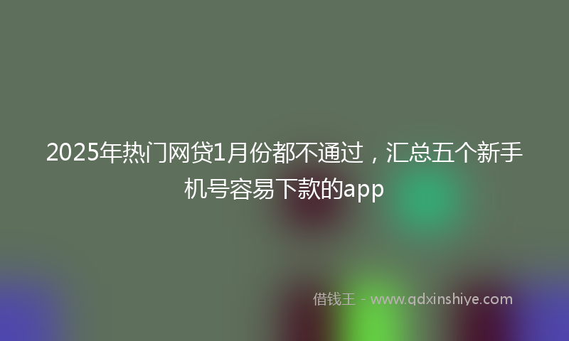 2025年热门网贷1月份都不通过，汇总五个新手机号容易下款的app