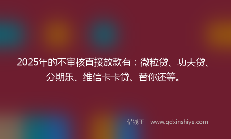 2025年的不审核直接放款有：微粒贷、功夫贷、分期乐、维信卡卡贷、替你还等。
