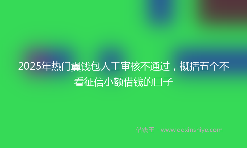 2025年热门翼钱包人工审核不通过，概括五个不看征信小额借钱的口子
