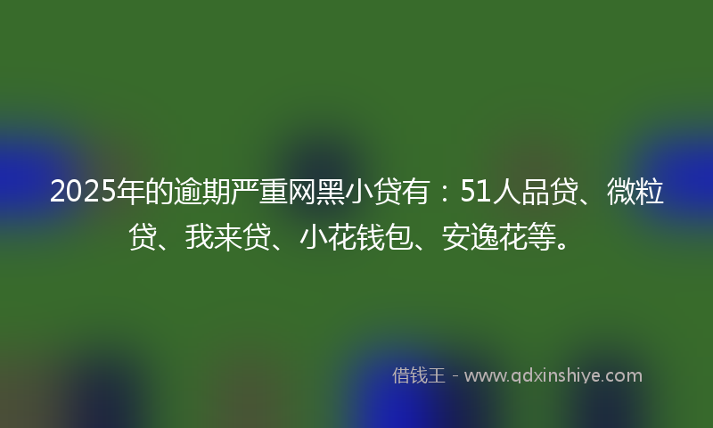 2025年的逾期严重网黑小贷有：51人品贷、微粒贷、我来贷、小花钱包、安逸花等。
