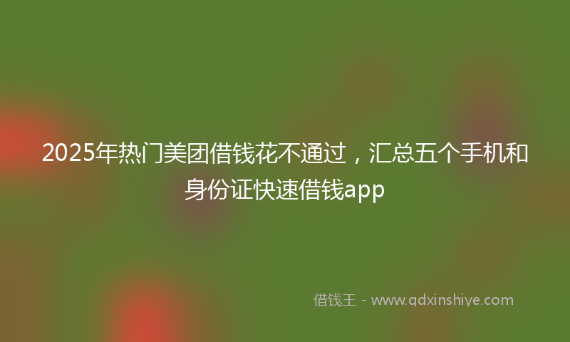 2025年热门美团借钱花不通过，汇总五个手机和身份证快速借钱app