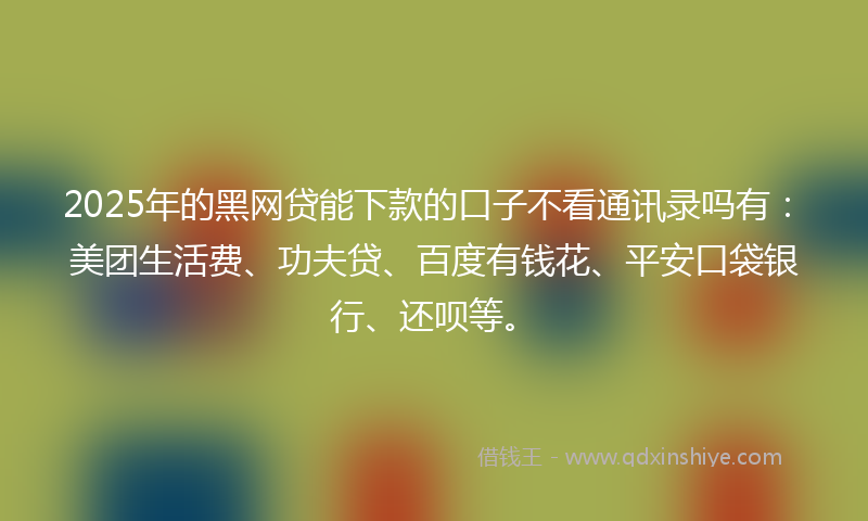 2025年的黑网贷能下款的口子不看通讯录吗有：美团生活费、功夫贷、百度有钱花、平安口袋银行、还呗等。