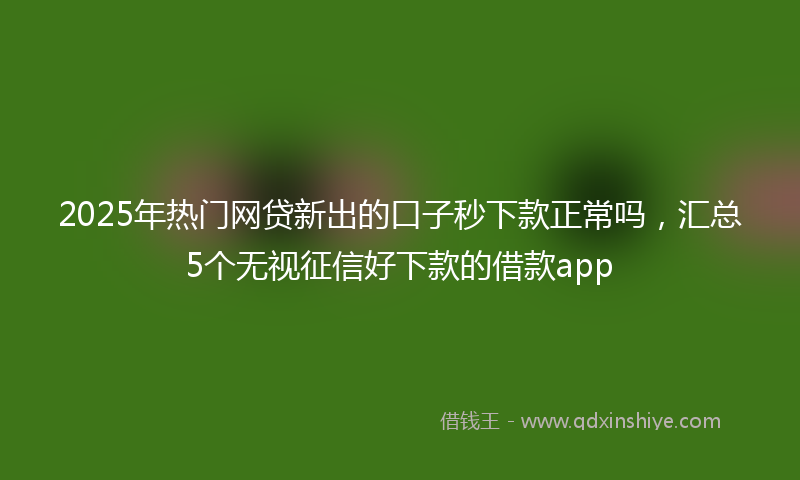 2025年热门网贷新出的口子秒下款正常吗，汇总5个无视征信好下款的借款app