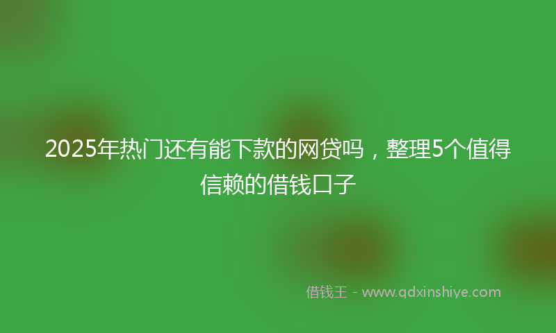2025年热门还有能下款的网贷吗，整理5个值得信赖的借钱口子
